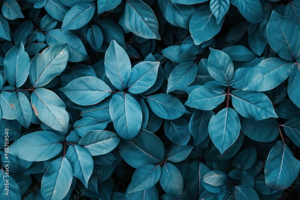 Blue leaves background. Top view of leaf background. Nature background. Blue leaves background. Top view of leaf background. Nature background.