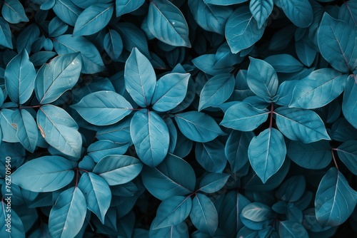 Blue leaves background. Top view of leaf background. Nature background.