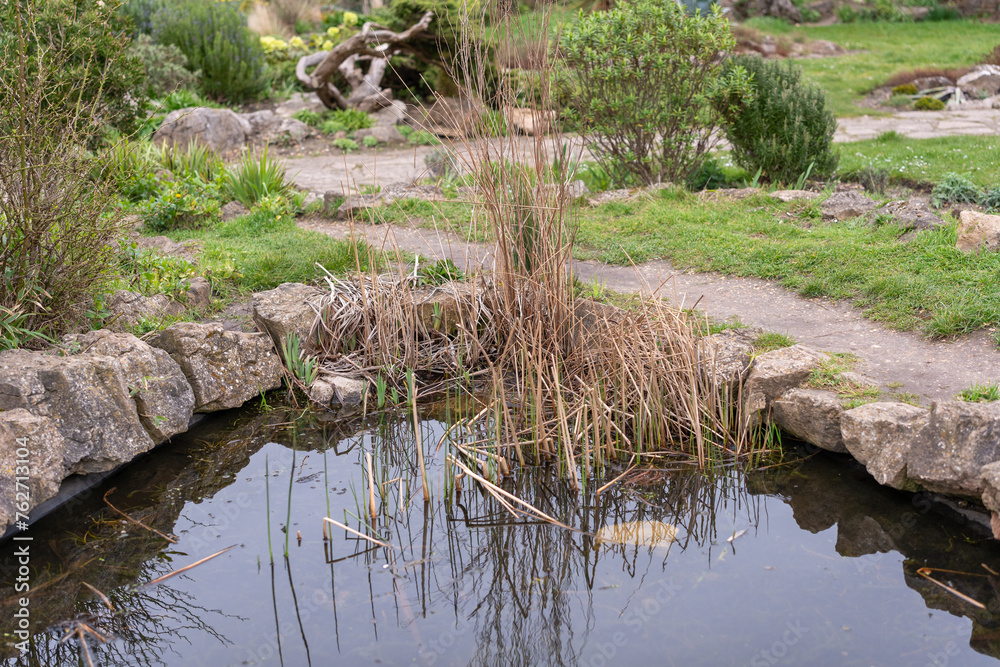 grass and water grass and water