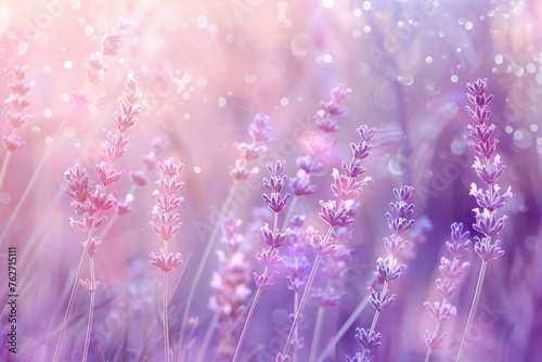 Delicate bokeh background of lavender textures