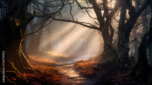 A narrow path winds through a dense forest, illuminated by sunbeams filtering through the canopy of trees. The sunlight creates a dappled pattern on the ground, highlighting. Banner. Copy space
