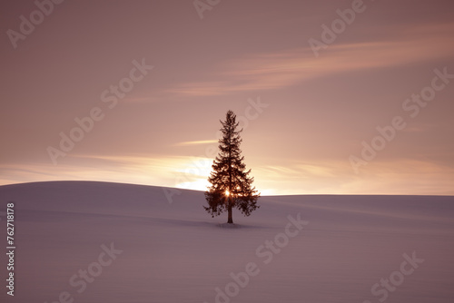 クリスマスツリーと夕陽