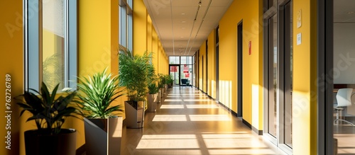 corridor in an office building with yellow walls with paintings on the walls and decorative plants © akhmad