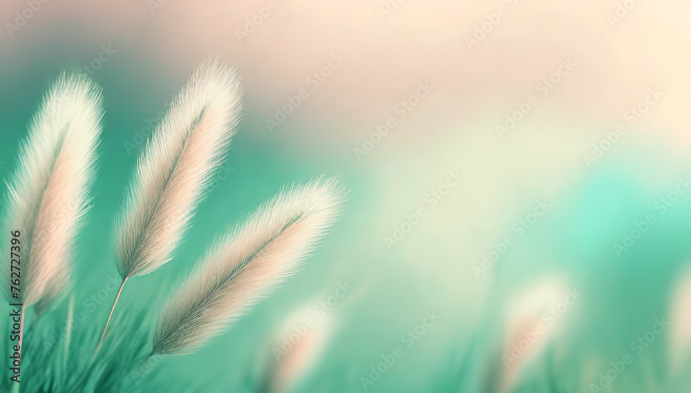 Obraz premium Pastelowe tło trawy