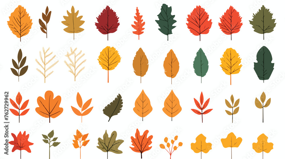 Autumn leaves. Illustration of various foliage. fla