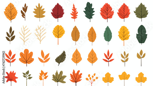 Autumn leaves. Illustration of various foliage. fla photo