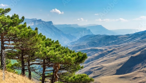 pines against the background of the mountain landscape of dagestan on a clear day