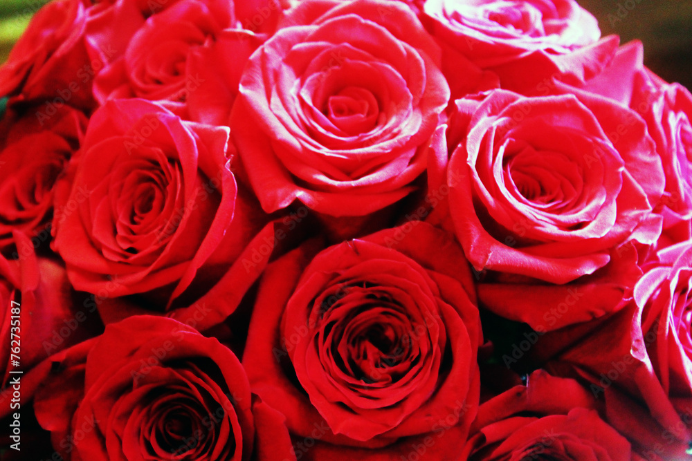 bouquet of roses bouquet of roses