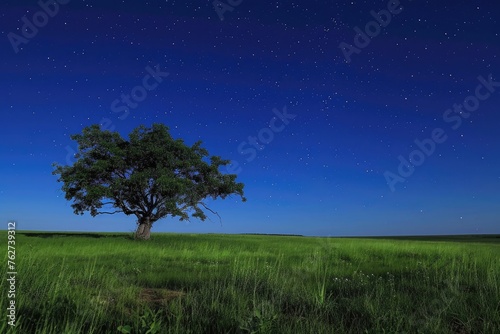 A single tree stands alone in a grassy field  illuminated by the moonlight against a starry night sky  Vast grassland with a single tree under a sparkling night sky  AI Generated