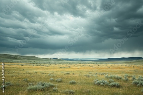 A vast expanse of grass and bushes fills the frame of the photo, while a cloudy sky hangs overhead, Vast plains under stormy grey skies, AI Generated