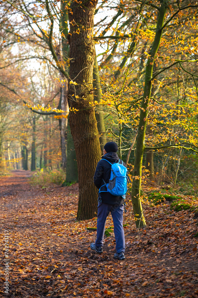 an asian young man hiking in autumn forest an asian young man hiking in autumn forest