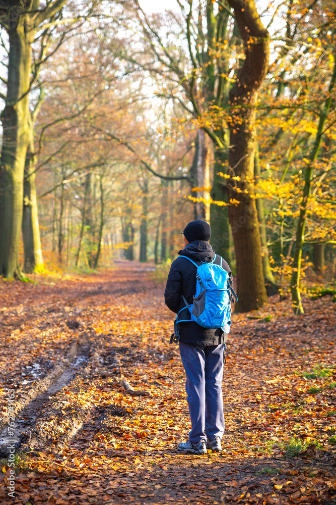 an asian young man hiking in autumn forest an asian young man hiking in autumn forest