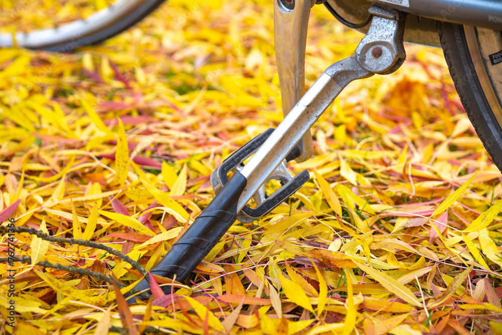 Obraz premium kickstand of bicycle detail with yellow leaves, close up