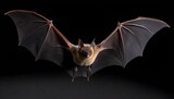 A Bat With Its Wings Furled Resembling A Cape Upscaled 3