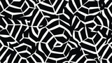 Black and white seamless pattern the texture of tur
