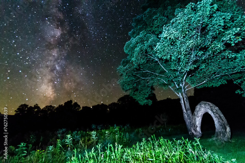 Arch Tree & Milky Way photo