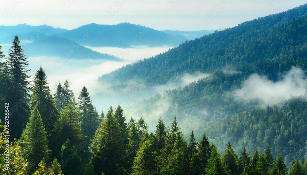 the landscape of pine forests on the mountains is interspersed with morning mist natural background concept