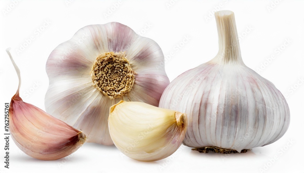 a whole fresh garlic head and clove segment isolated against a transparent background a whole fresh garlic head and clove segment isolated against a transparent background