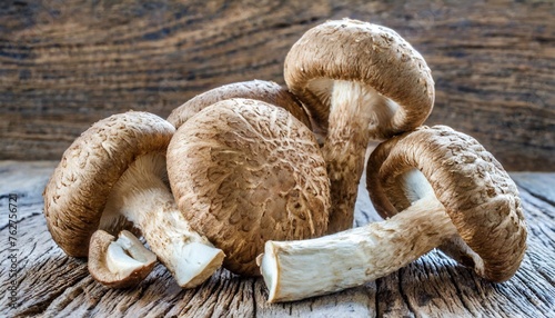 shiitake mushrooms lentinula edodes photo