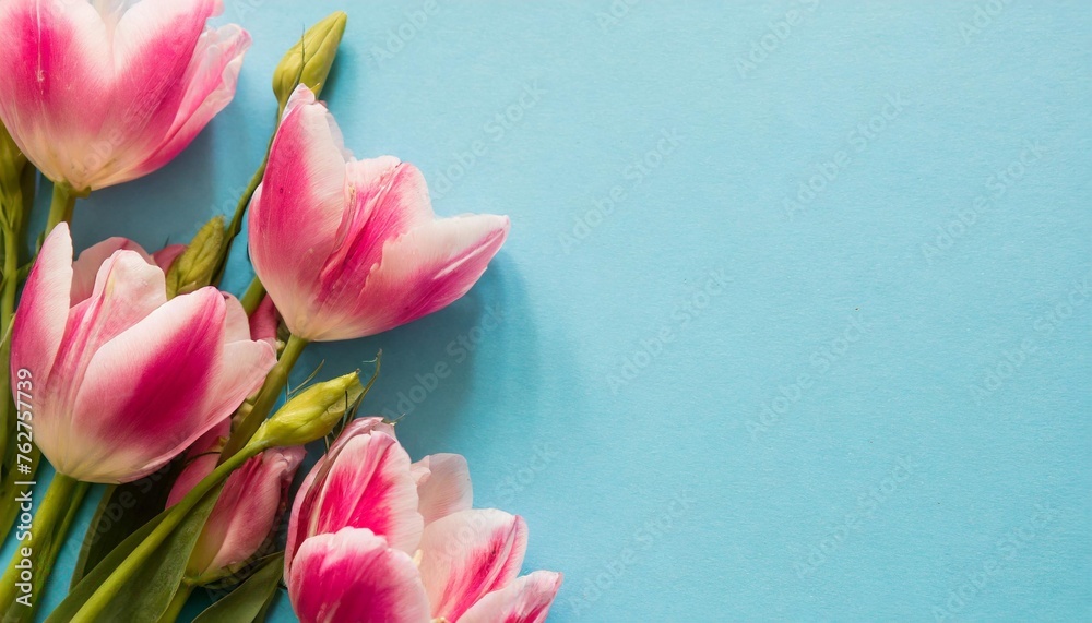 pink flowers on a blue background with a place for text