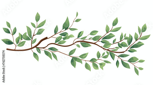Branch with elongated leaves by hand engraving vect photo