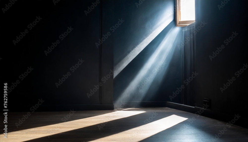 a contemporary scene with a sleek black background and soft artificial light pouring in from a minimalistic window the stark contrast between light and dark adds drama and sophistication a contemporary scene with a sleek black background and soft artificial light pouring in from a minimalistic window the stark contrast between light and dark adds drama and sophistication