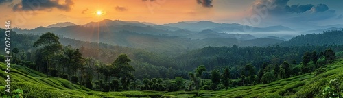 Rubber plantation landscape, rolling hills, sunset hues, panoramic view photo