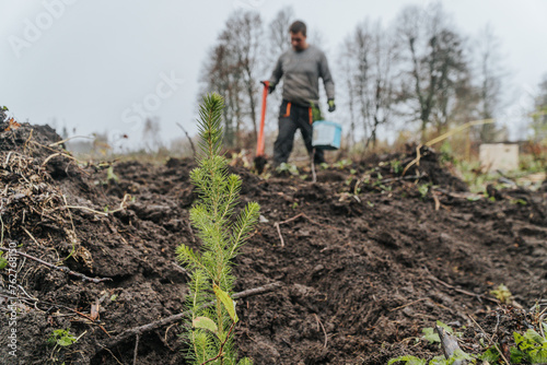 person planting trees in the forest