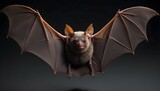 A Bat With Its Wings Wrapped Around Its Body Keep Upscaled 4