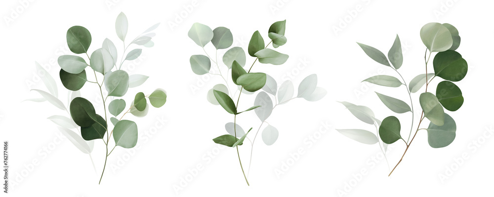 Watercolor bouquet of leaves and eucalyptus branch. Botanical herbal illustration for wedding or greeting card. Hand painted spring composition isolated on white background.