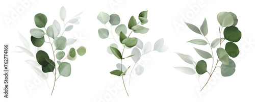 Watercolor bouquet of leaves and eucalyptus branch. Botanical herbal illustration for wedding or greeting card. Hand painted spring composition isolated on white background.