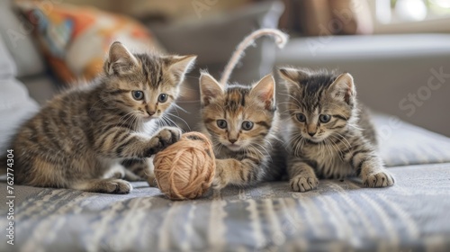 Playful Kittens Chasing Yarn Ball Indoors (Low Angle)