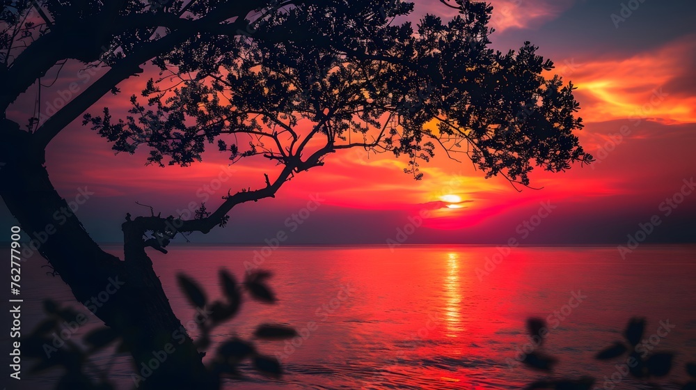 Silhouette tree on blur background of red and orange sunset sky over the tropical sea. Red sunset sky. Skyline at the sea. Tropical sea in summer. Scenic view of sunset sky. Calm ocean. Seascape.