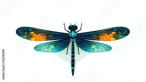 Dragonfly. Vector illustration. flat vector illustr