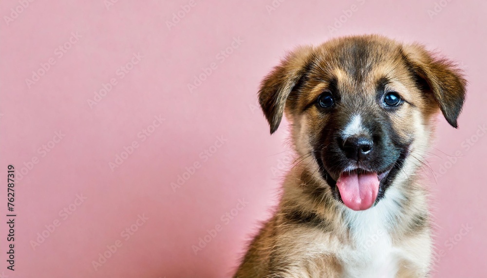 close up banner with puppy dog isolated on pink background with copy space