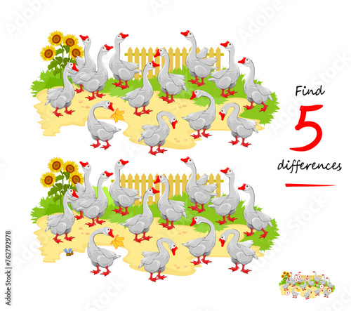 Find 5 differences. Illustration of a flock of geese in a farmyard. Logic puzzle game for children and adults. Page for kids brain teaser book. Developing to counting skills. Vector cartoon drawing.