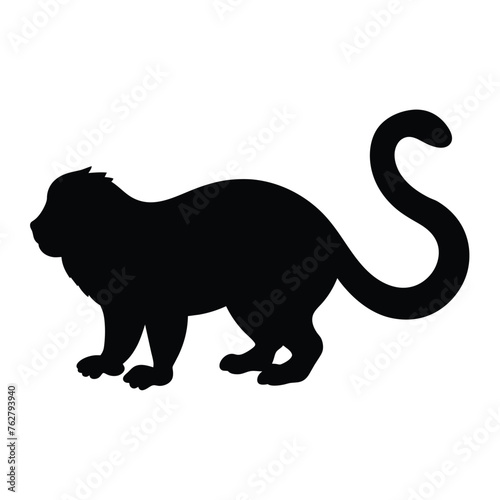 silhouette of a tamarin on white