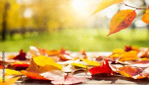 beautiful autumn background with yellow orange and red falling leaves bokeh and sunshine banner with free place for text