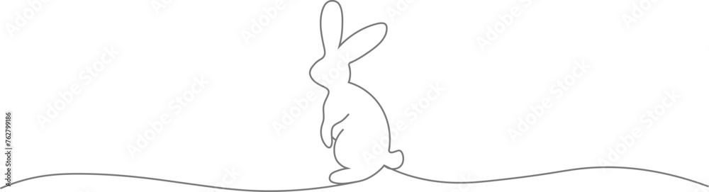 Easte bunny  Line Drawing,isolated on white background