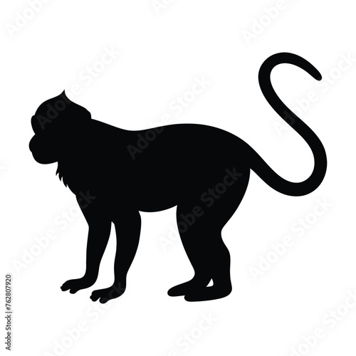 silhouette of a langur on white background