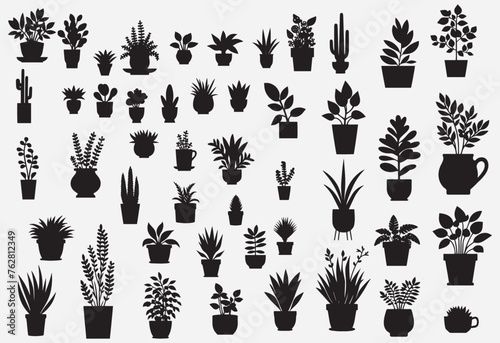 Vector illustration. Large set of flower plants in pots. Silhouette big set. photo
