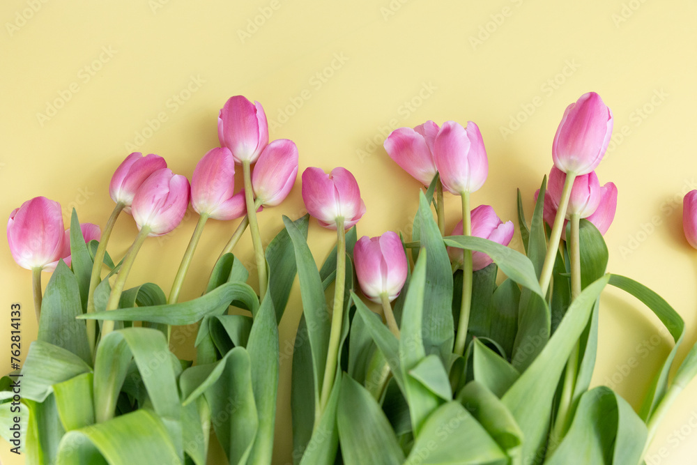 Pink Fresh Tulips on Yellow Background, Springtime Easter Colors Seasons Spring Flower Bloom, Mothers Day Wallpaper Design, Light Colors Pastel Pink and Yellow Flowers Pink Fresh Tulips on Yellow Background, Springtime Easter Colors Seasons Spring Flower Bloom, Mothers Day Wallpaper Design, Light Colors Pastel Pink and Yellow Flowers