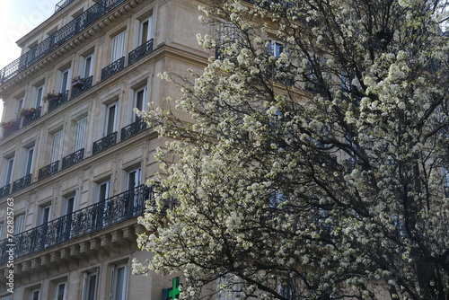 Paris, France - March 19, 2024. The spring at Bazeilles Street. A mix between an Haussmannian building and a blossom tree