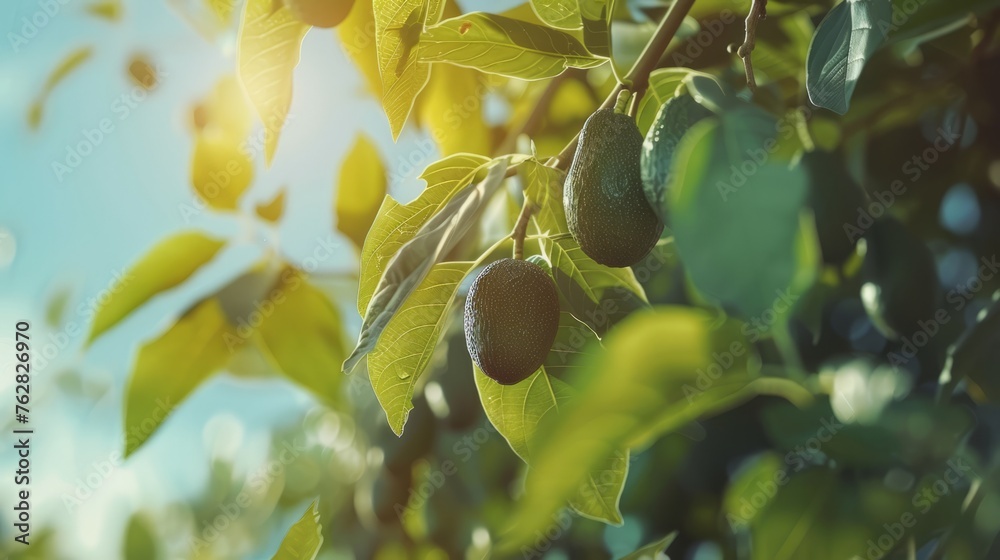 Fototapeta premium Avocado on a branch. Generative AI