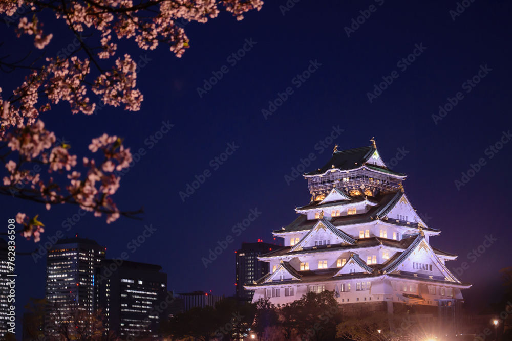 Fototapeta premium 大阪城公園の夜桜