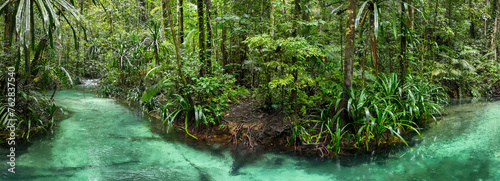 Kali Biru, a turquoise river flowing through an Indonesian Rainforest on Waigeo island in Raja Ampat, West Papua
