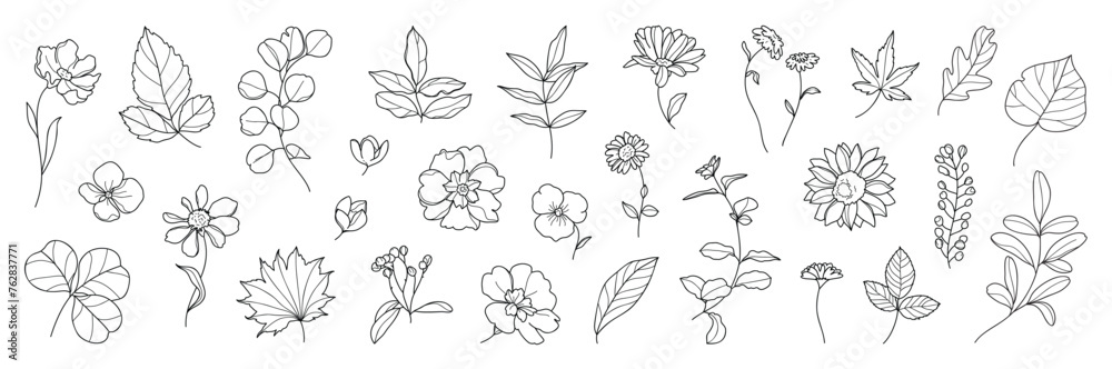 Set of flower hand drawn element vector. Collection of foliage, branch, floral, leaves, wildflower, sunflower, eucalyptus. Spring blossom illustration design for logo, wedding, invitation, decor.