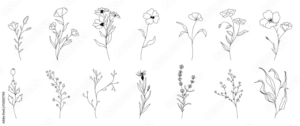 Set of flower hand drawn element vector. Collection of foliage, branch, floral, leaves, wildflower, eucalyptus, petal. Spring blossom illustration design for logo, wedding, invitation, decor.