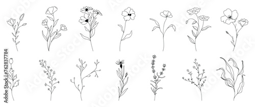 Set of flower hand drawn element vector. Collection of foliage, branch, floral, leaves, wildflower, eucalyptus, petal. Spring blossom illustration design for logo, wedding, invitation, decor.