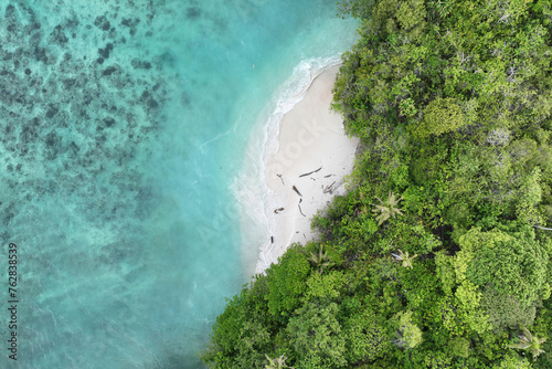 Beach on Mioskon, an island paradise in Raja Ampat, West Papua, Indonesia